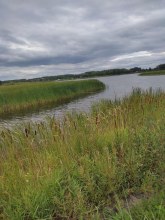 Поселок Рыбопитомник.Вид с автотрассы.Август 2024. Фото Е.Жолобовой. photo