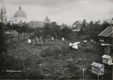 пасека document