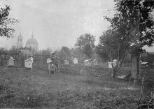 пасека document