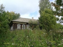 д. Люя август 2019 года photo