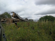 д. Люя август 2019 года photo