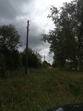 д. Люя август 2019 года photo