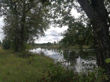 д. Люя август 2019 года photo