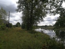 д. Люя август 2019 года photo