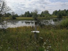 д. Люя август 2019 года photo