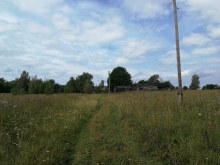 д. Люя август 2019 года photo