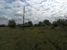 д. Люя август 2019 года photo