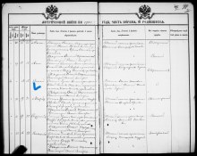 Метрическая книга с записью о рождении Василия Ивановича Тюлькина document