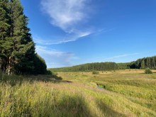 Река Ройка (по-мари́йски Руй вӱд - река Руй + -ка - уменьшительный суффикс), участок между дер. Танабаево и с. Большой Рой (20.07.2025; фото сделал Копосов Д.Г.) photo