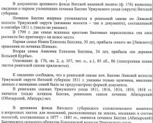 предоставлено Belinene Marina document