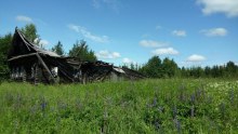 д.Савиновская. фото 2019г. former_settlement