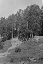 окрестности с. Боровица. Год и автор фотоснимка неизвестен old_photo