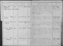 Документ из госпиталя (фамилия Мошкин). document