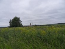 Развалины свинарника. former_settlement