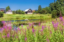 Исуповы. Пруд и жилые дома. Июль 2025 г. Фото Е. Чудиновских photo