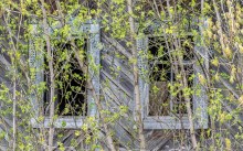 Кукмары. Окна заброшенныго дома. Май 2025 г. Фото Е. Чудиновских photo