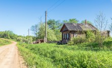 Рякинцы. Жилой дом. Май 2025 г. Фото Е. Чудиновских photo