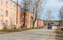 Стрижи. Улица. Апрель 2025 г. Фото Е. Чудиновских photo