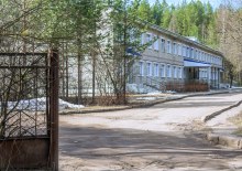 Стрижи. Больница. Апрель 2025 г. Фото Е. Чудиновских photo