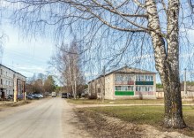 Стрижи. Улица. Апрель 2025 г. Фото Е. Чудиновских photo