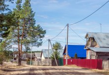 Стрижи. Улица. Апрель 2025 г. Фото Е. Чудиновских photo