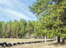 Стрижи. Стадион. Апрель 2025 г. Фото Е. Чудиновских photo