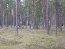 Чарне, кладбище военнопленных