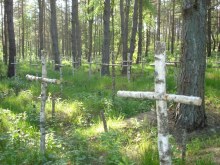 Лесное кладбище у дороги Надажице – Сыпнево