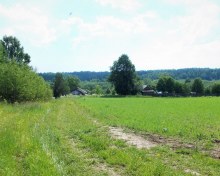 От дворов дорога спускалась в деревню. photo