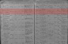 Донесения о потерях: № 432 Дубровин Д.Г. document