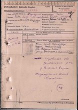 Информация о военнопленном document