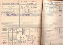 похозяйственная книга 1938-39 гг document