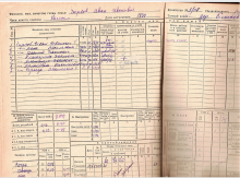 похозяйственная книга 1938-39 гг document