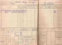 похозяйственная книга 1938-39 гг document