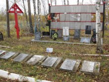 Братская могила д. ЕФРЕМОВО, Старорусский р-н, Новгородская обл. document