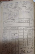 похозяйственная книга 1930г. document