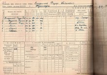 похозяйственная книга 1943-45 гг document