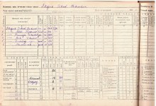 похозяйственная книга 1946-48 гг document