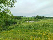 вид на пруд с деревни Малые Кисели, июнь 2024 former_settlement