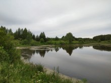 пруд дер Малые Кисели, июнь 2024 former_settlement