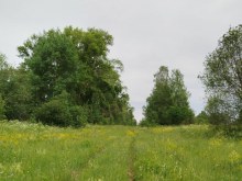 улица в дер Малые Кисели, июнь 2024 former_settlement